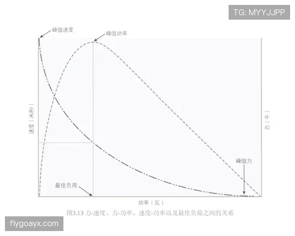 Osimhen 爆发力与速度解析