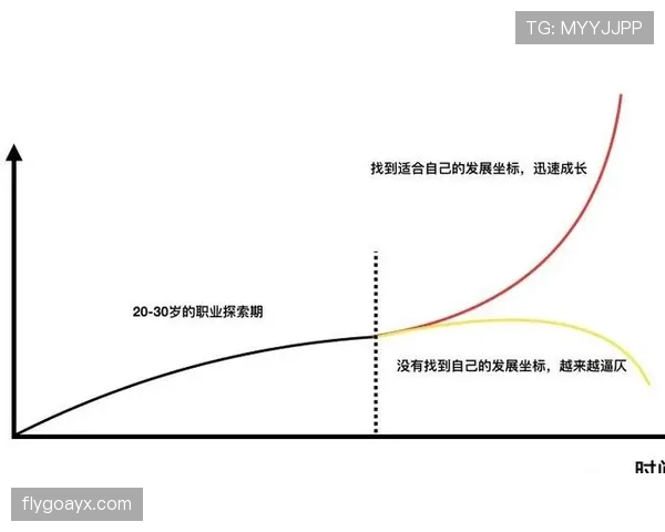达姆斯高职业轨迹:从北西兰到布伦特福德的稳步成长 达姆斯高职业轨迹:从北西兰到布伦特福德的稳步成长